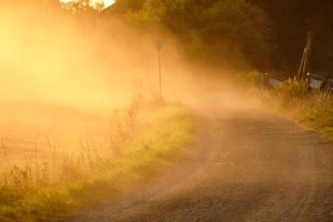 A dirt road curves through grassy fields at sunset, with golden sunlight illuminating dust in the air and a blurry traffic sign barely visible in the background.