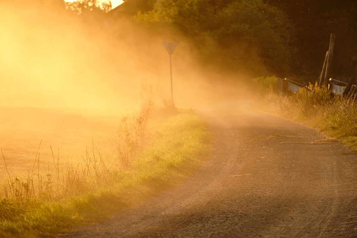 A dirt road curves through grassy fields at sunset, with golden sunlight illuminating dust in the air and a blurry traffic sign barely visible in the background.