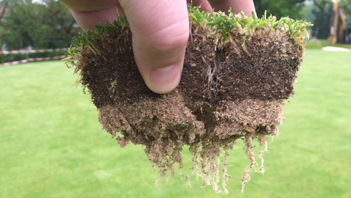 A hand holds a chunk of turf with visible grass, soil, and sandy roots, showing a cross-section of the ground. Blurred green grass is in the background.