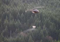 A helicopter flies above a dense forest, carrying a small crate or container suspended below it by a cable.