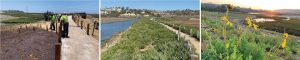 Three side-by-side images show a wetland restoration: workers placing posts, a finished path by water and greenery, and wildflowers with a sunset over the restored landscape.