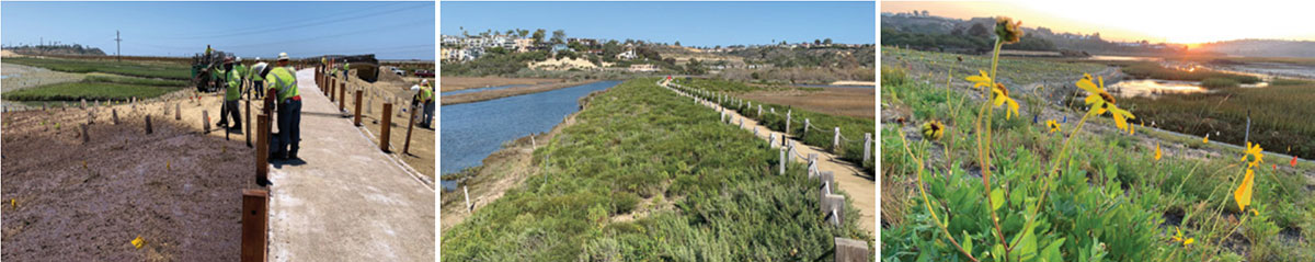 Three side-by-side images show a wetland restoration: workers placing posts, a finished path by water and greenery, and wildflowers with a sunset over the restored landscape.