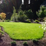 A well-maintained lawn bordered by flower beds, shrubs, and trees, with sunlight streaming in and part of a house visible on the right.