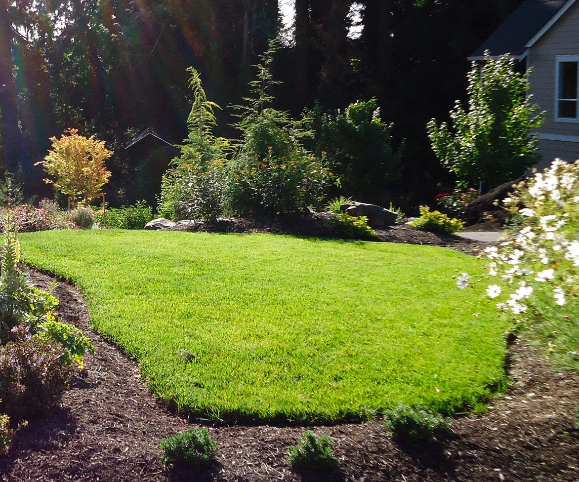A well-maintained lawn bordered by flower beds, shrubs, and trees, with sunlight streaming in and part of a house visible on the right.