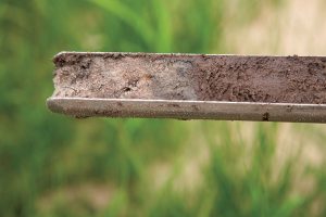 A close-up of a soil sample on a metal soil probe, with green grass and blurred outdoor background.