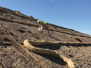 A worker in a safety vest and helmet spreads material on a steep, barren slope with straw wattles for erosion control under a clear blue sky.