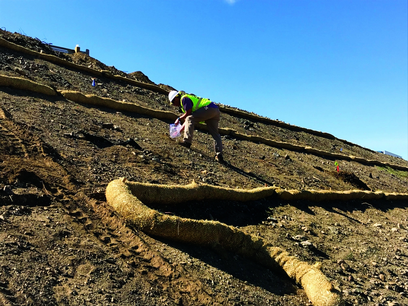 A worker in a safety vest spreads seeds on a sloped, barren hillside with erosion control mats and a clear blue sky overhead.