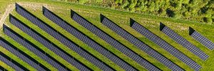 Aerial view of rows of solar panels angled across a grassy field, with a line of trees at the top right of the image.