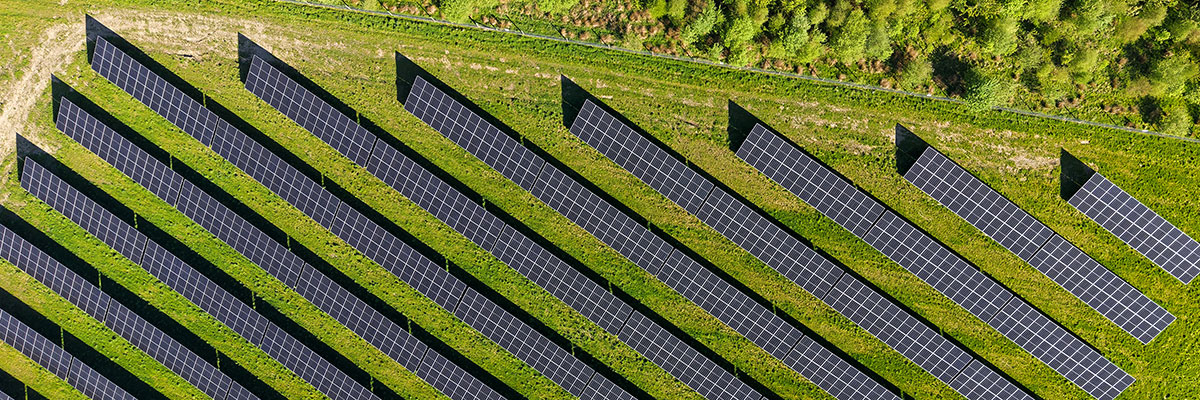Aerial view of rows of solar panels angled across a grassy field, with a line of trees at the top right of the image.