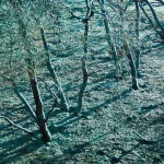 Terra Matrix applied to the ground.