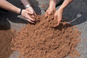 Four hands are sifting through a pile of loose brown coconut coir fibers on a rough, gray surface, possibly pavement.