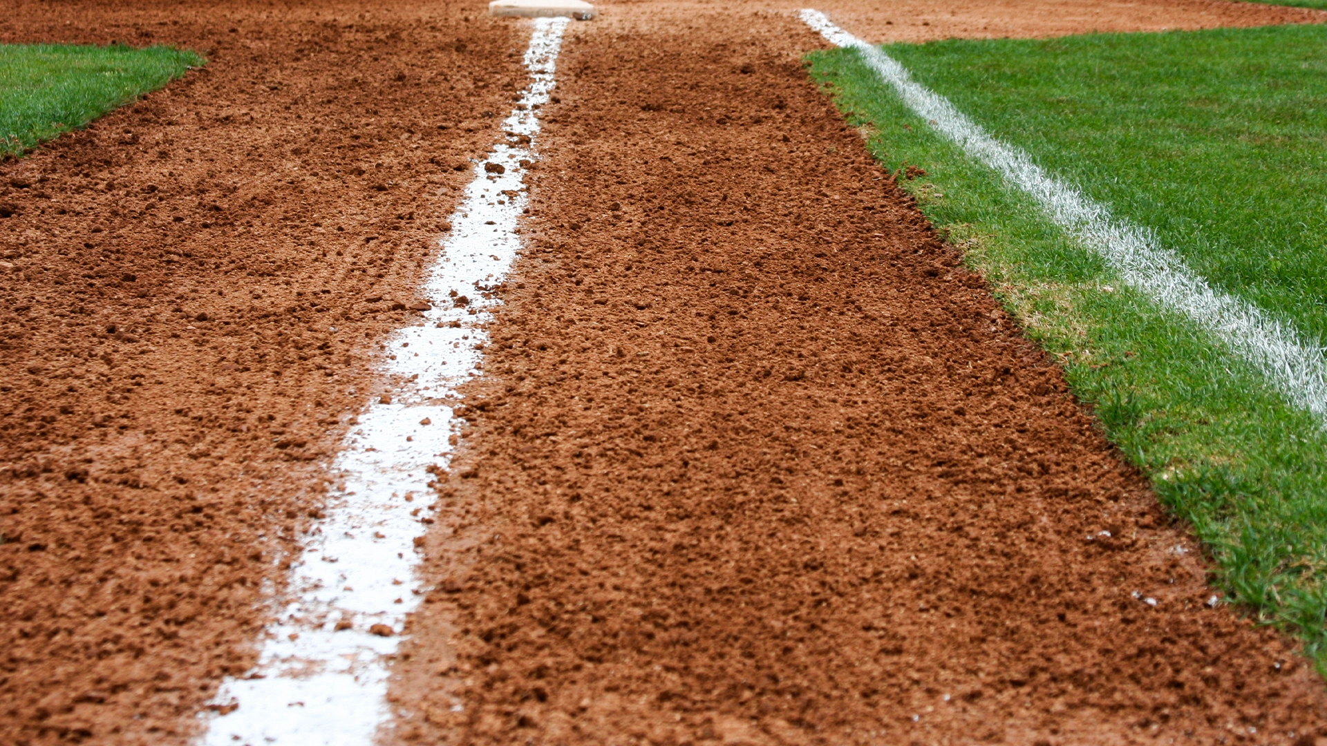 A close-up view of a baseball fields baseline, showing a chalked white line on brown dirt, with green grass on the right side.