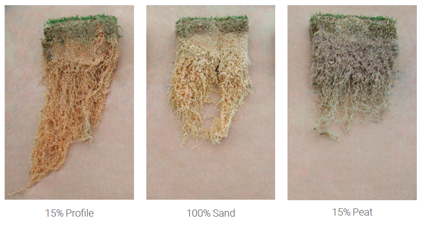 Three root samples displayed side by side on a light background, labeled “15% Profile,” “100% Sand,” and “15% Peat,” showing differences in root density and color.