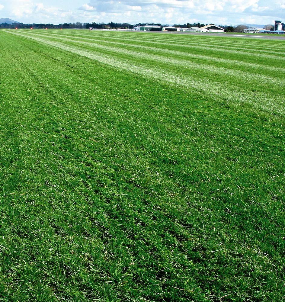 A wide expanse of green grass stretches toward distant buildings under a partly cloudy sky, with alternating light and dark stripes visible on the field.