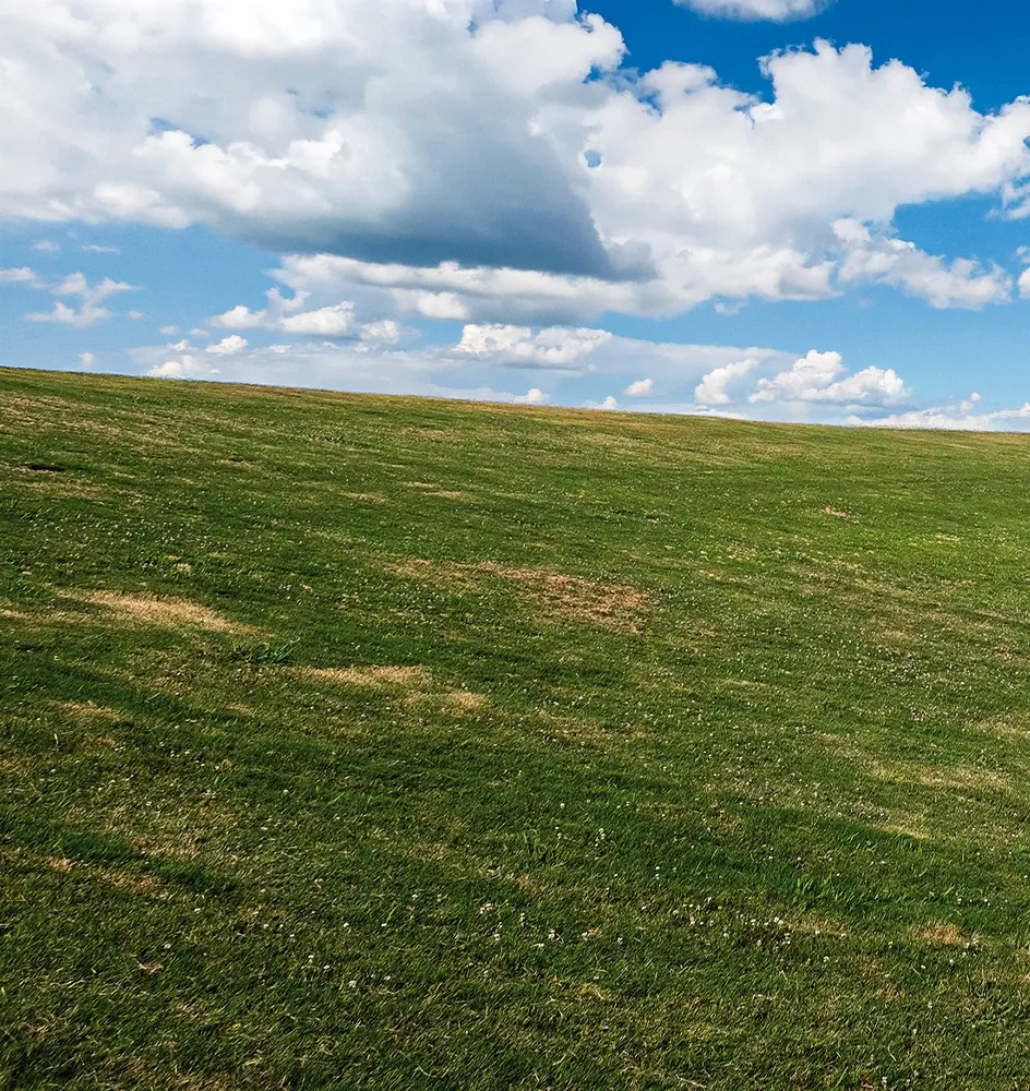 A gently sloping grassy hill under a bright blue sky filled with scattered white clouds.