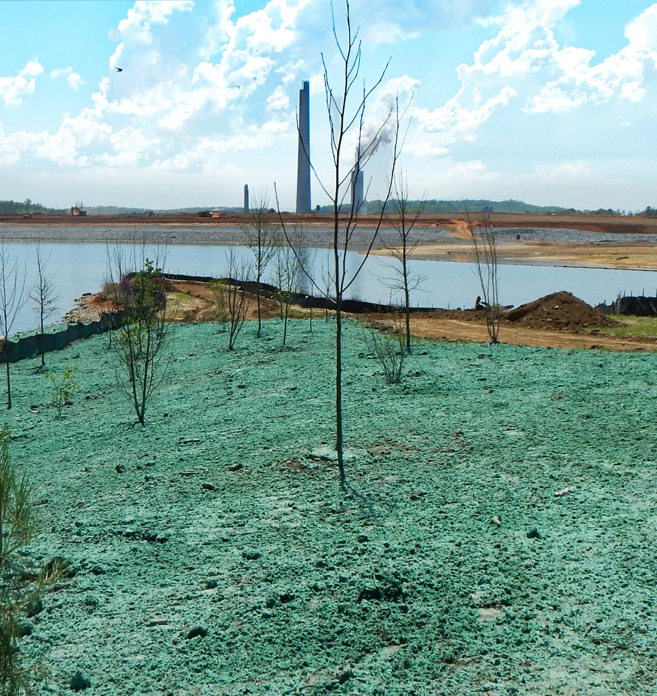 A barren, green-sprayed field with young trees beside a water body, with industrial buildings and smokestacks visible in the distance under a partly cloudy sky.