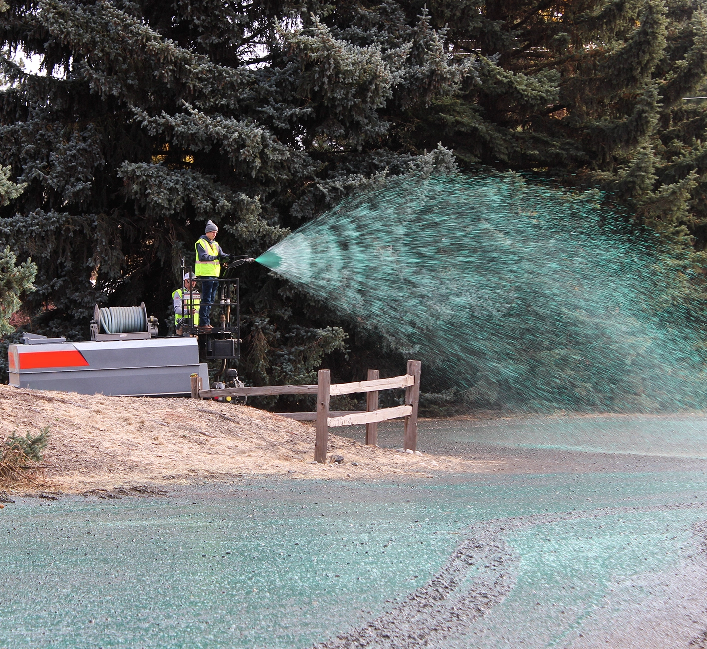 A worker in a safety vest sprays green hydroseed onto bare ground near a wooden fence and large evergreen trees, using specialized landscaping equipment.