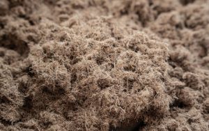 Close-up of a pile of brown, fibrous, natural material resembling coconut coir or dried plant fibers, showing a rough and textured surface.
