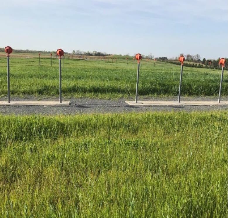 Six metal poles with orange caps line a gravel path in a grassy field under a clear sky. More grassy fields and trees are visible in the background.