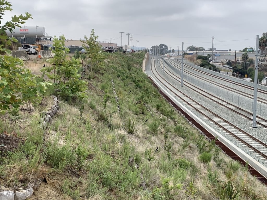 A grassy slope with small trees and plants runs alongside a pair of empty railroad tracks on a cloudy day. Industrial buildings are visible in the background.