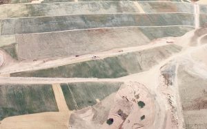 Aerial view of patchy farmland with intersecting dirt roads and paths. Some fields are green, while others appear dry or sandy. Two small trees are visible on sandy ground near the bottom right.