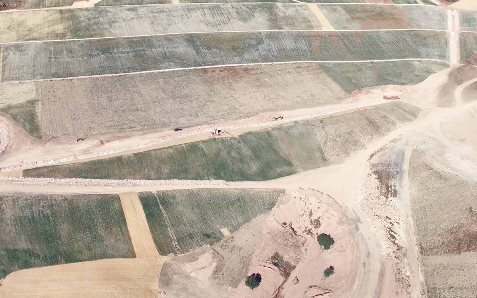 Aerial view of patchy farmland with intersecting dirt roads and paths. Some fields are green, while others appear dry or sandy. Two small trees are visible on sandy ground near the bottom right.