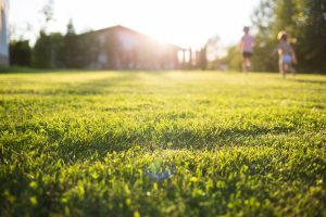 Close-up of green grass in a sunlit yard with two children running in the blurry background, trees and a building visible, and sunlight streaming in from behind.