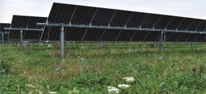 Rows of solar panels mounted on metal frames stand above green grass and wildflowers in a field under a cloudy sky.