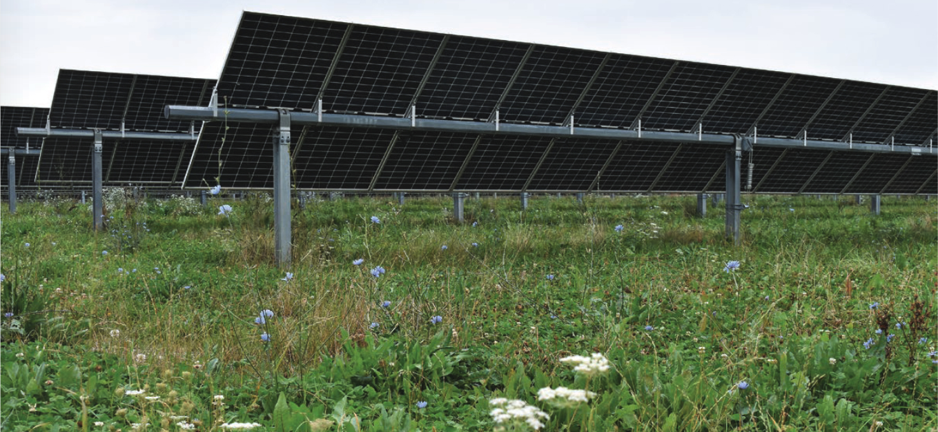 Rows of solar panels mounted on metal frames stand above green grass and wildflowers in a field under a cloudy sky.