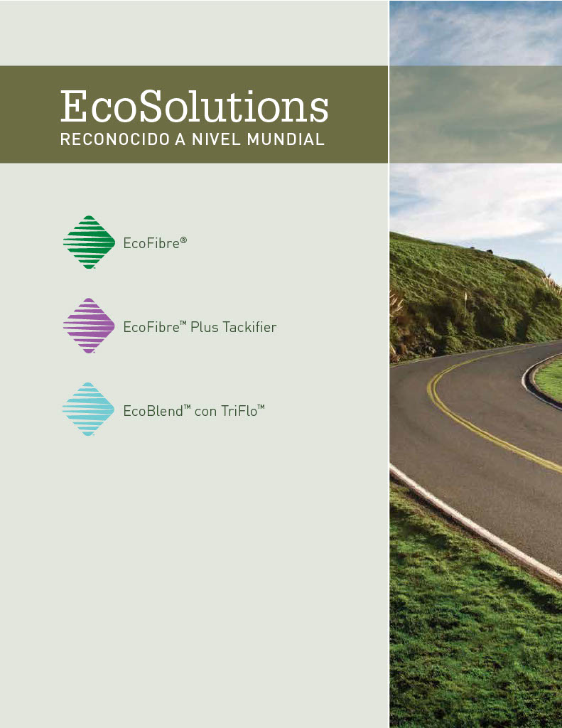 The first page of the EcoSolutions Brochure - Spanish PDF.