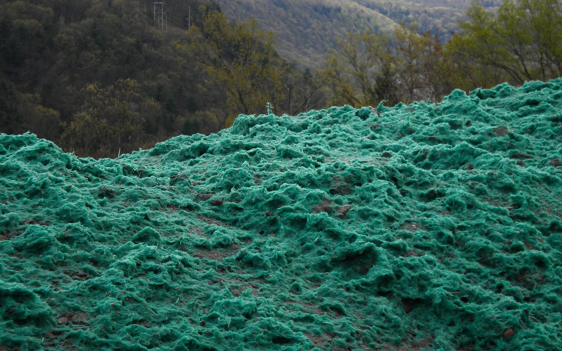 A large mound covered in bright green hydroseeding mulch sits in the foreground with forested hills and trees in the background.