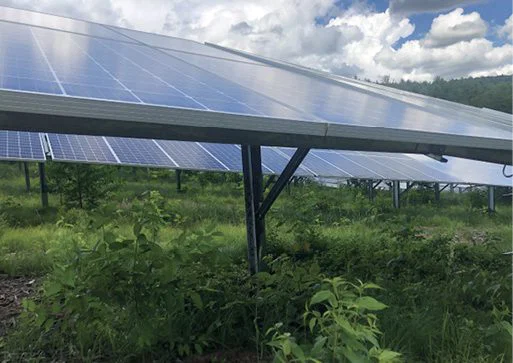 Rows of solar panels are mounted on metal frames above green grass and plants, with a partly cloudy sky and trees visible in the background.