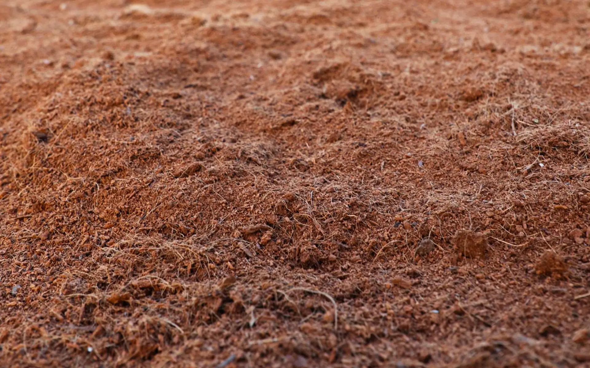 Close-up view of loose, reddish-brown soil with visible fibers and a rough, uneven texture, covering the ground.